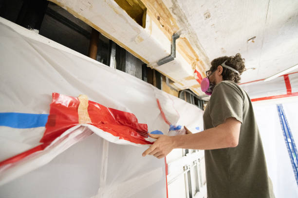 Best Emergency Mold Remediation  in Mapleton, IA