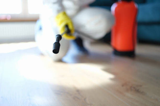 Best Residential Mold Inspection & Testing  in Mapleton, IA